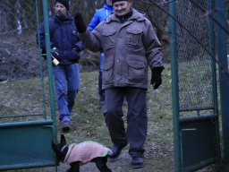 Pochod po sklepech 2014